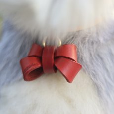 画像17: 【Red Collection】 レザーFURICO RIBBON 首輪【レザーオーダー】 (17)